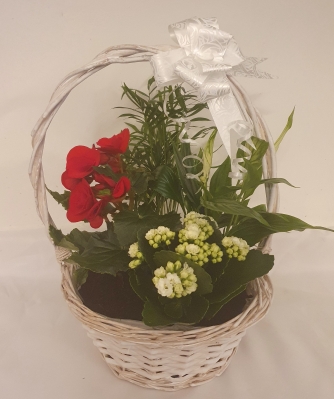 Indoor Basket Planter Medium