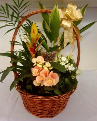 Indoor Basket Planter Large