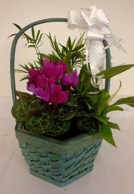 Indoor Basket Planter Small