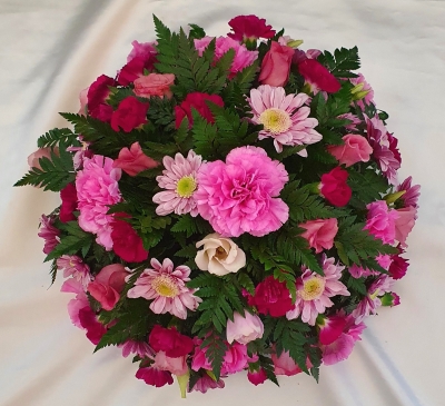 Posy   Pink Mix