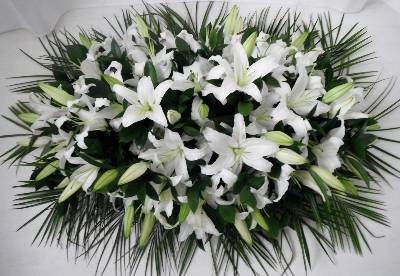 White Lilies Coffin Spray