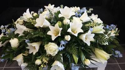 White Lilies with white and light blue flower Coffin Spray