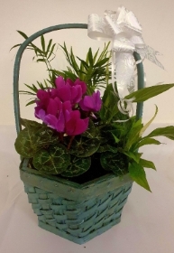 Indoor Basket Planter Small