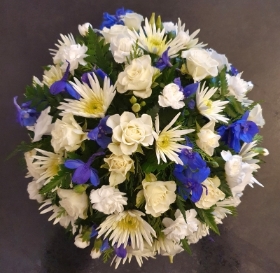 Posy   Blue and White